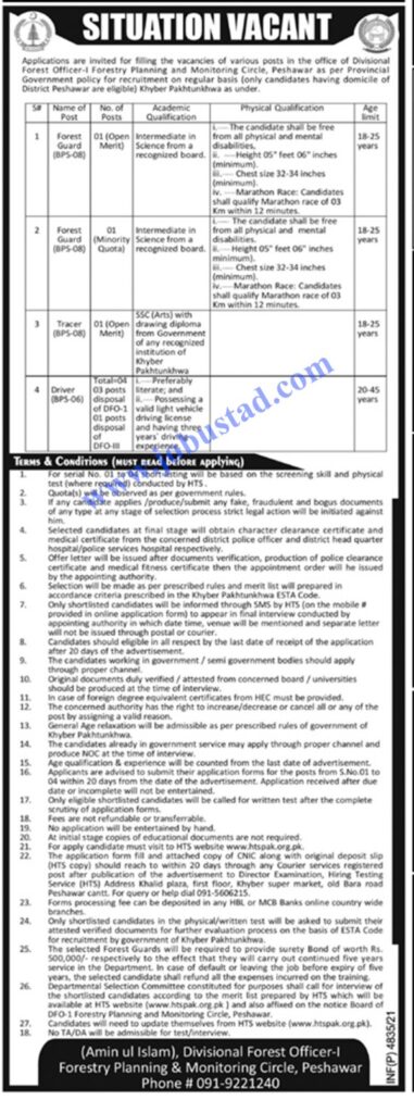 Forest Department KPK Jobs 2021 – KPK Government Jobs